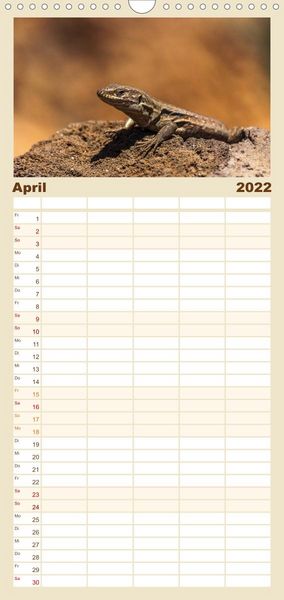 Produktbild: Familienplaner Teneriffa - Inmitten des Atlantischen Archipels (Wandkalender 2022 , 21 cm x 45 cm, hoch)
