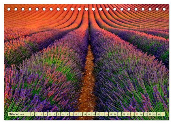 Produktbild: Traum-Ziele - Lavendel der Provence, Frankreich (Tischkalender 2026 DIN A5 quer), CALVENDO Monatskalender