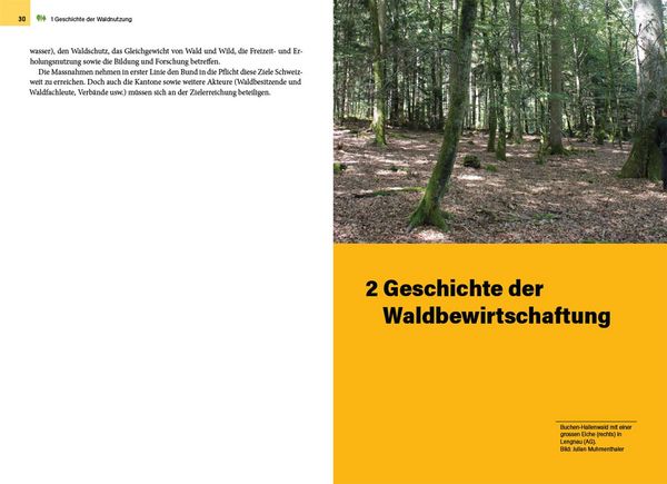 Produktbild: Waldbewirtschaftung in der Schweiz