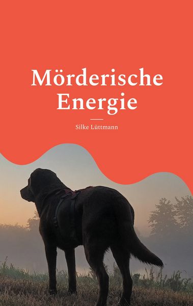 Produktbild: M&ouml;rderische Energie