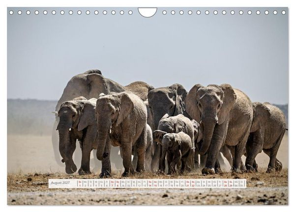 Produktbild: Namibia &ndash; Farben des Lebens (Wandkalender 2027 DIN A4 quer), CALVENDO Monatskalender