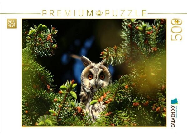 CALVENDO Puzzle Waldohreule | 500 Teile Lege-Größe 48 × 36 cm Foto-Puzzle für Erwachsene