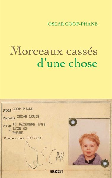 Produktbild: Morceaux cass&eacute;s d'une chose