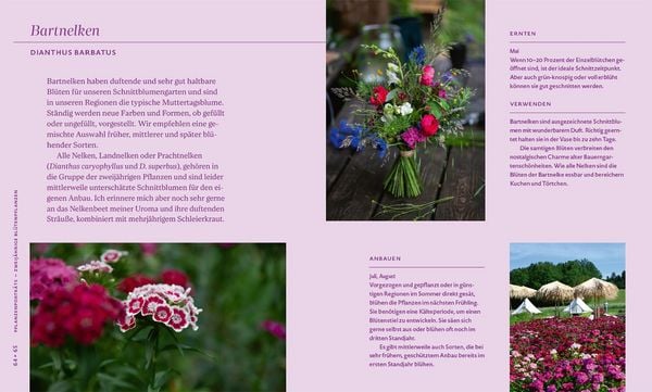 Nachhaltige Schnittblumen