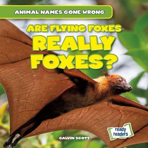 Produktbild: Are Flying Foxes Really Foxes?