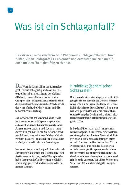 Produktbild: Schlaganfall - Der Leitfaden f&uuml;r Angeh&ouml;rige