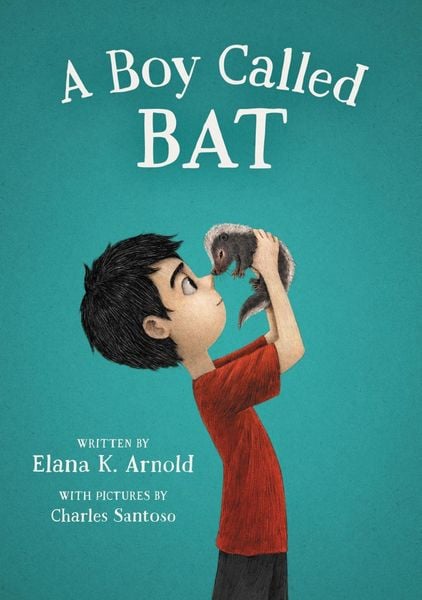 Produktbild: A Boy Called Bat
