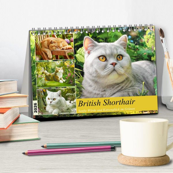 Produktbild: British Shorthair. Sanfte W&uuml;rde und Katzengl&uuml;ck im Gr&uuml;nen (Tischkalender 2026 DIN A5 quer), CALVENDO Monatskalender