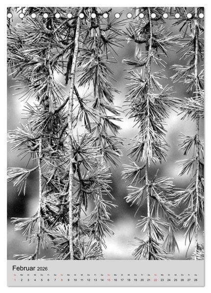 Produktbild: Natur monochrom Die besondere Wirkung (Tischkalender 2026 DIN A5 hoch), CALVENDO Monatskalender