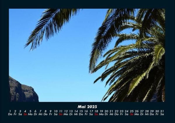 Produktbild: Palmentraum 2025 Fotokalender DIN A4