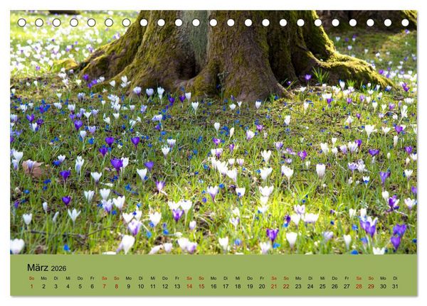 Produktbild: Kurpark Baden-Baden (Tischkalender 2026 DIN A5 quer), CALVENDO Monatskalender