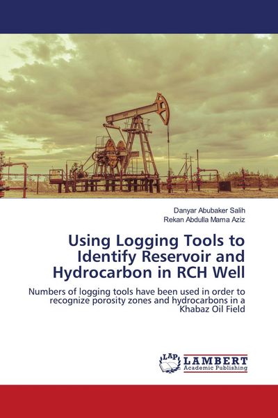Produktbild: Using Logging Tools to Identify Reservoir and Hydrocarbon in RCH Well