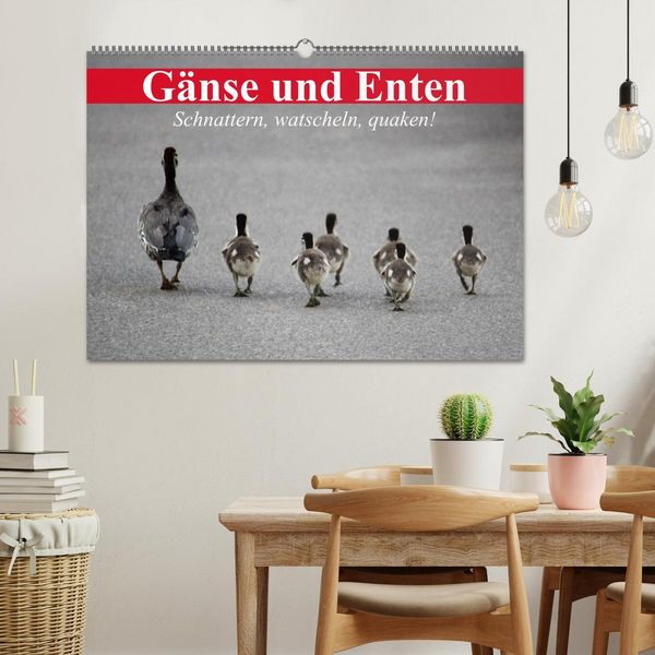 Produktbild: G&auml;nse und Enten. Schnattern, watscheln, quaken! (Wandkalender 2026 DIN A2 quer), CALVENDO Monatskalender