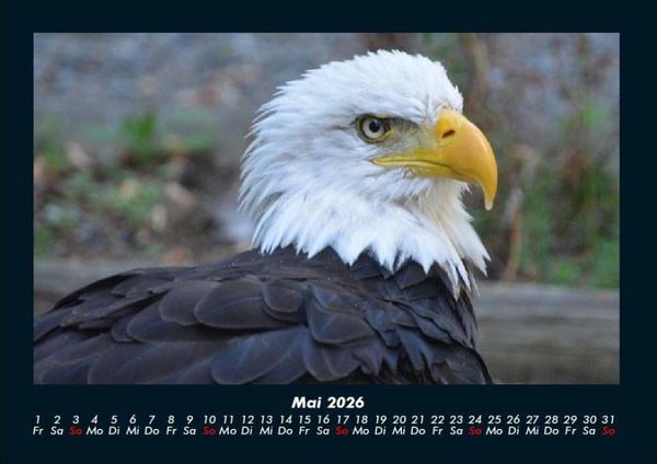 Produktbild: Adler 2026 Fotokalender DIN A4