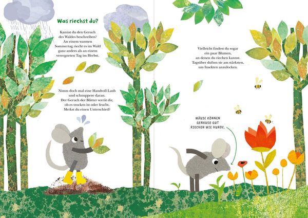 Produktbild: Frederick und seine Freunde &ndash; Komm, wir erkunden den Wald