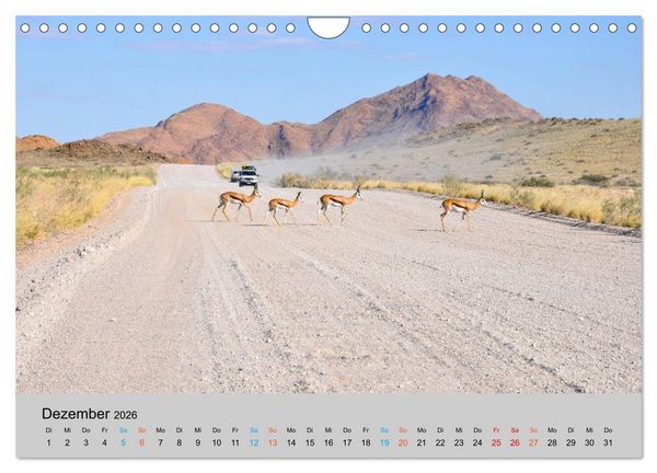Produktbild: Antilopen, sch&ouml;n und schnell (Wandkalender 2026 DIN A4 quer), CALVENDO Monatskalender