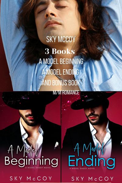 Produktbild: A Model Beginning, A Model Ending 2 Book Boxed Set