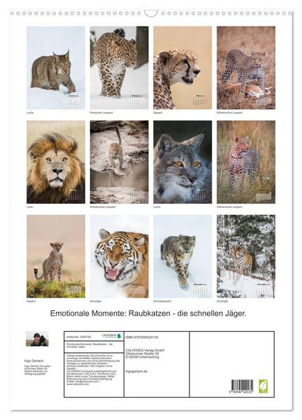 Produktbild: Emotionale Momente: Raubkatzen - die schnellen J&auml;ger. (Wandkalender 2027 DIN A2 hoch), CALVENDO Monatskalender