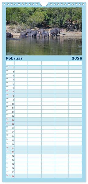 Produktbild: Familienplaner 2026 - Nilpferde, Kolosse in Afrika mit 5 Spalten (Wandkalender, 21 x 45 cm) CALVENDO