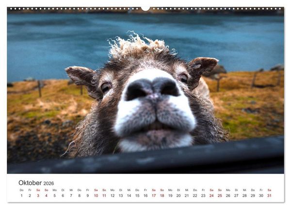 Produktbild: F&auml;r&ouml;er - Einzigartige Inseln (Wandkalender 2026 DIN A2 quer), CALVENDO Monatskalender