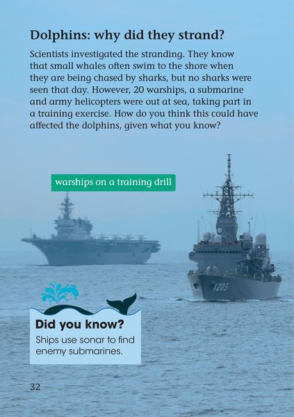 Produktbild: Whale Strandings: A Mystery of Nature