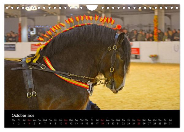Produktbild: BIG BOLD AND BEAUTIFUL (Wall Calendar 2026 DIN A4 landscape), CALVENDO 12 Month Wall Calendar