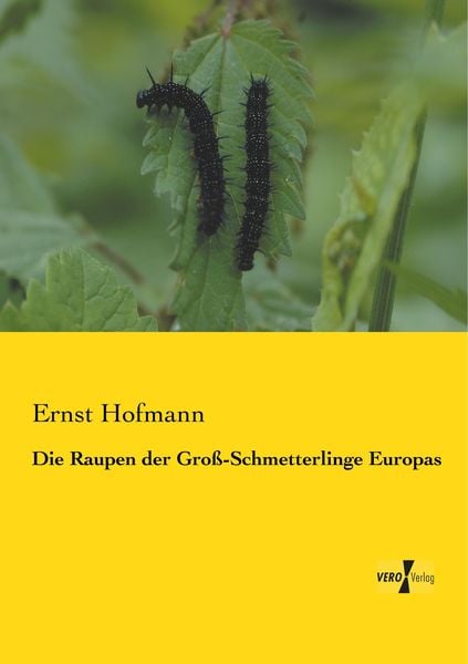 Produktbild: Die Raupen der Gro&szlig;-Schmetterlinge Europas