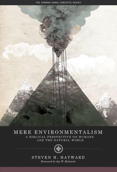 Produktbild: Mere Environmentalism