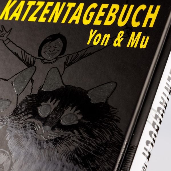 Produktbild: Junji Itos Katzentagebuch