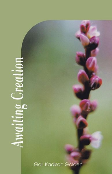 Produktbild: Awaiting Creation