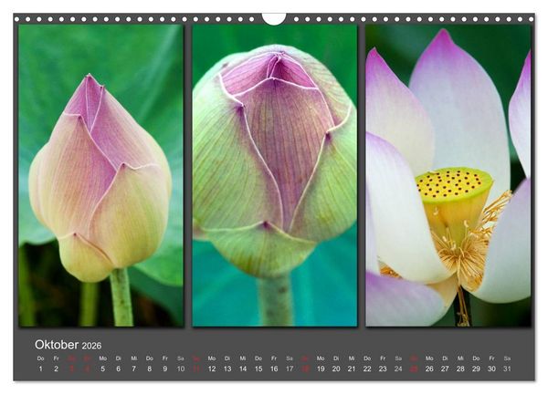 Produktbild: MEDITATION Zeit f&uuml;r mich (Wandkalender 2026 DIN A3 quer), CALVENDO Monatskalender