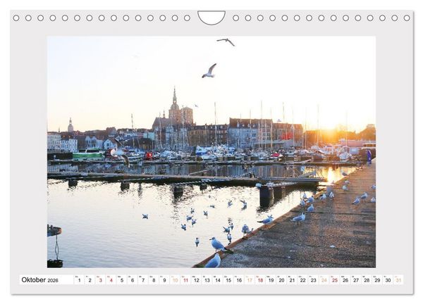 Produktbild: Stralsund genie&szlig;en (Wandkalender 2026 DIN A4 quer), CALVENDO Monatskalender