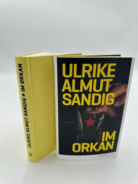 Produktbild: Im Orkan
