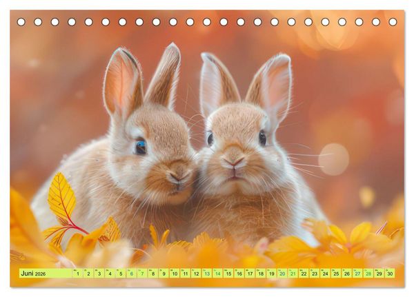 Produktbild: Kaninchen - Liebenswerte Fellb&auml;llchen (Tischkalender 2026 DIN A5 quer), CALVENDO Monatskalender