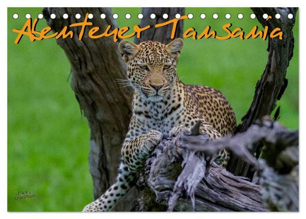 Produktbild: Abenteuer Tansania, Afrika (Tischkalender 2026 DIN A5 quer), CALVENDO Monatskalender