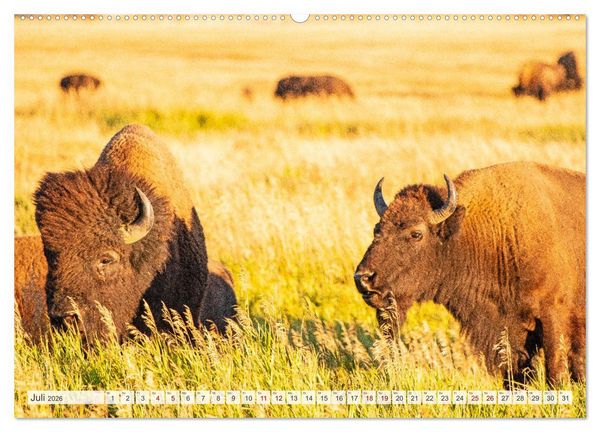 Produktbild: USA - National und State Parks im Nordwesten (Wandkalender 2026 DIN A2 quer), CALVENDO Monatskalender