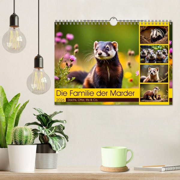 Produktbild: Die Familie der Marder (Wandkalender 2026 DIN A4 quer), CALVENDO Monatskalender