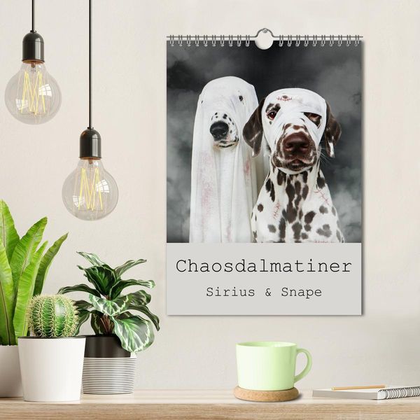 Produktbild: Chaosdalmatiner Sirius und Snape (Wandkalender 2026 DIN A4 hoch), CALVENDO Monatskalender