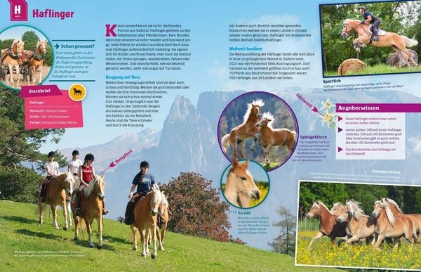 Produktbild: WAS IST WAS Pferde und Ponys