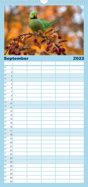 Produktbild: Papageien - Frech, sch&ouml;n und schlau - Familienplaner hoch (Wandkalender 2022 , 21 cm x 45 cm, hoch)