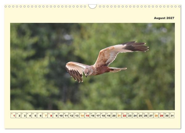 Produktbild: Tierwelt der W&uuml;mmeniederung (Wandkalender 2027 DIN A3 quer), CALVENDO Monatskalender