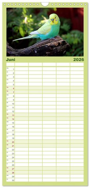 Produktbild: Familienplaner 2026 - Wellensittiche - Naturkalender mit 5 Spalten (Wandkalender, 21 x 45 cm) CALVENDO