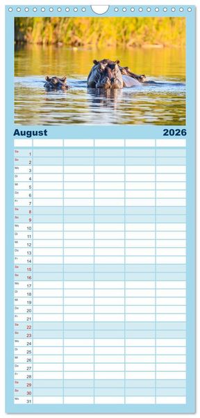 Produktbild: Familienplaner 2026 - Nilpferde, Kolosse in Afrika mit 5 Spalten (Wandkalender, 21 x 45 cm) CALVENDO