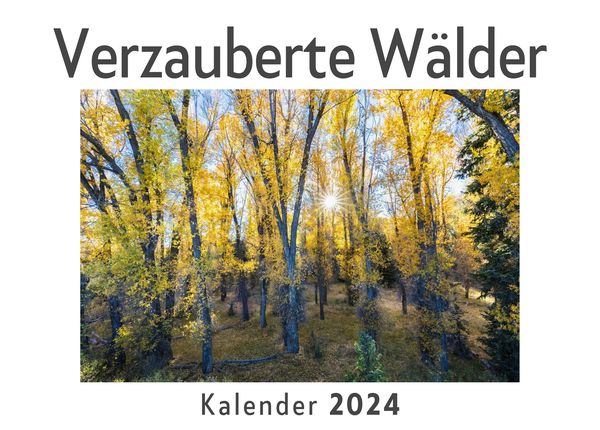 Produktbild: Verzauberte W&auml;lder (Wandkalender 2024, Kalender DIN A4 quer, Monatskalender im Querformat mit Kalendarium, Das perfekte Geschenk)