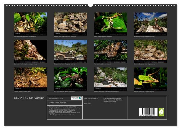 Produktbild: SNAKES / UK-Version (High Quality Premium Wall Calendar 2026 DIN A2 landscape),CALVENDO 12 Month Wall Calendar