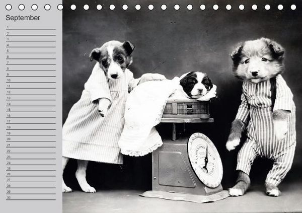 Produktbild: Katzen und Hunde - Nostalgie auf Pfoten (Tischkalender immerw&auml;hrend DIN A5 quer)