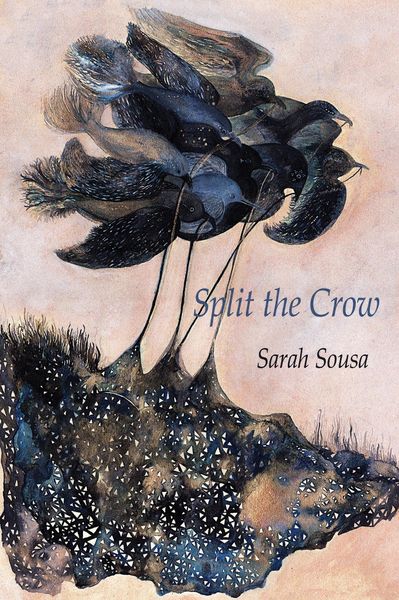 Produktbild: Split the Crow
