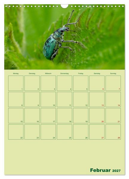 Produktbild: Die Welt der Insekten (Wandkalender 2027 DIN A3 hoch), CALVENDO Monatskalender