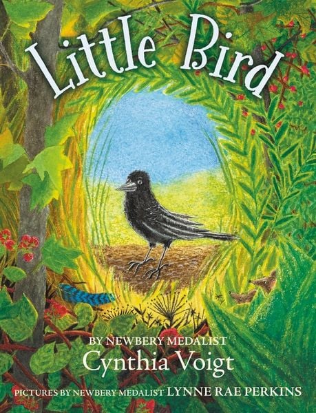 Produktbild: Little Bird