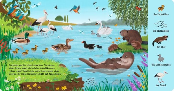 Produktbild: Mein 100 Tiere-Wimmelbuch